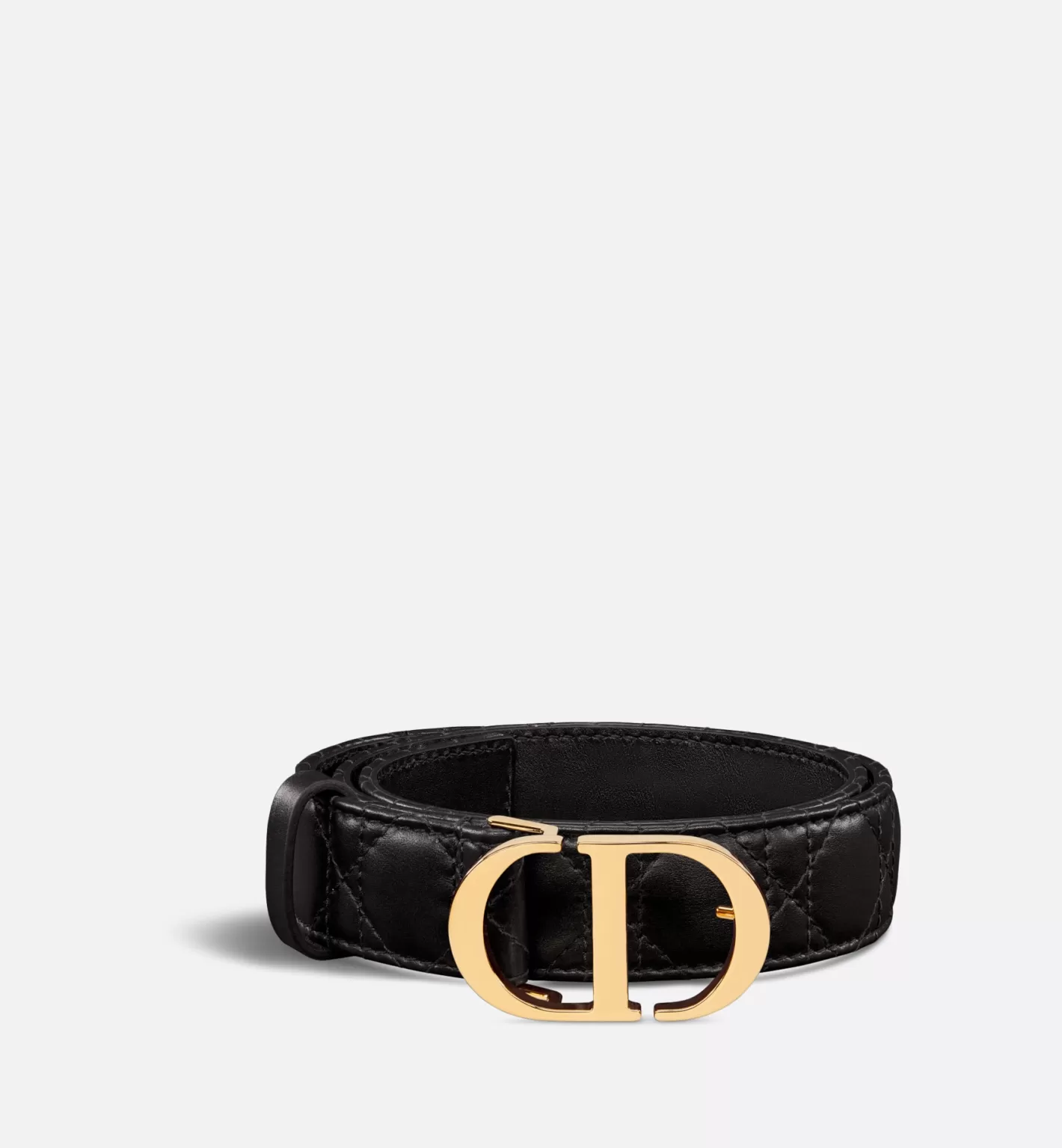 DIOR 30 Montaigne Belt Best