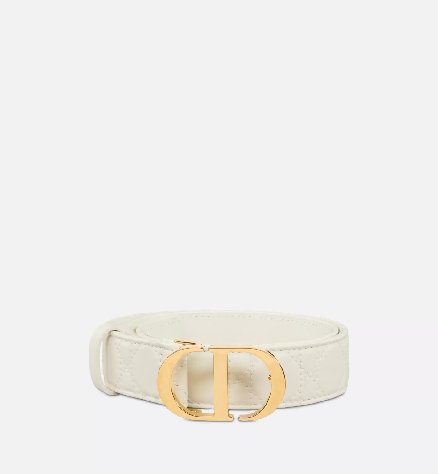 DIOR 30 Montaigne Belt New