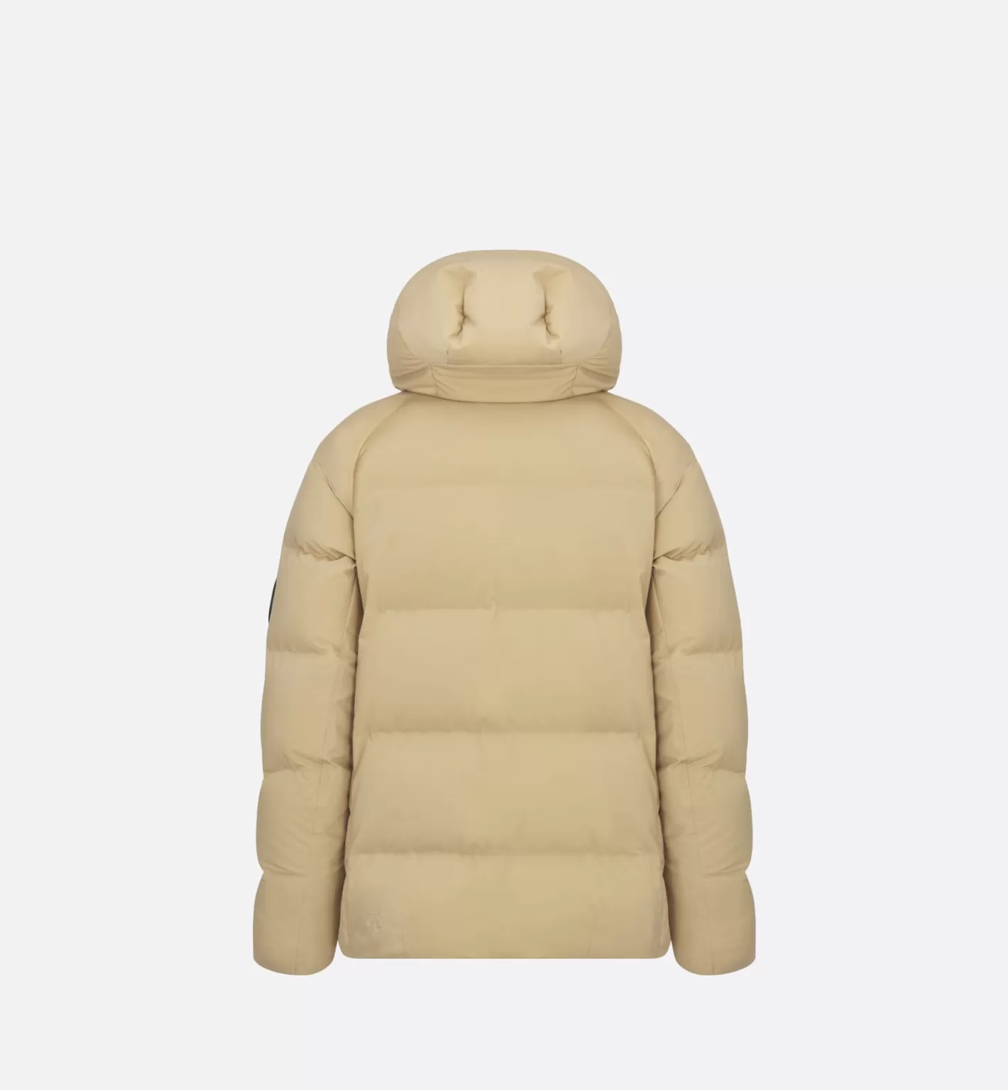 DIOR And Descente And Peter Doig Quilted Down Ski Jacket Sale