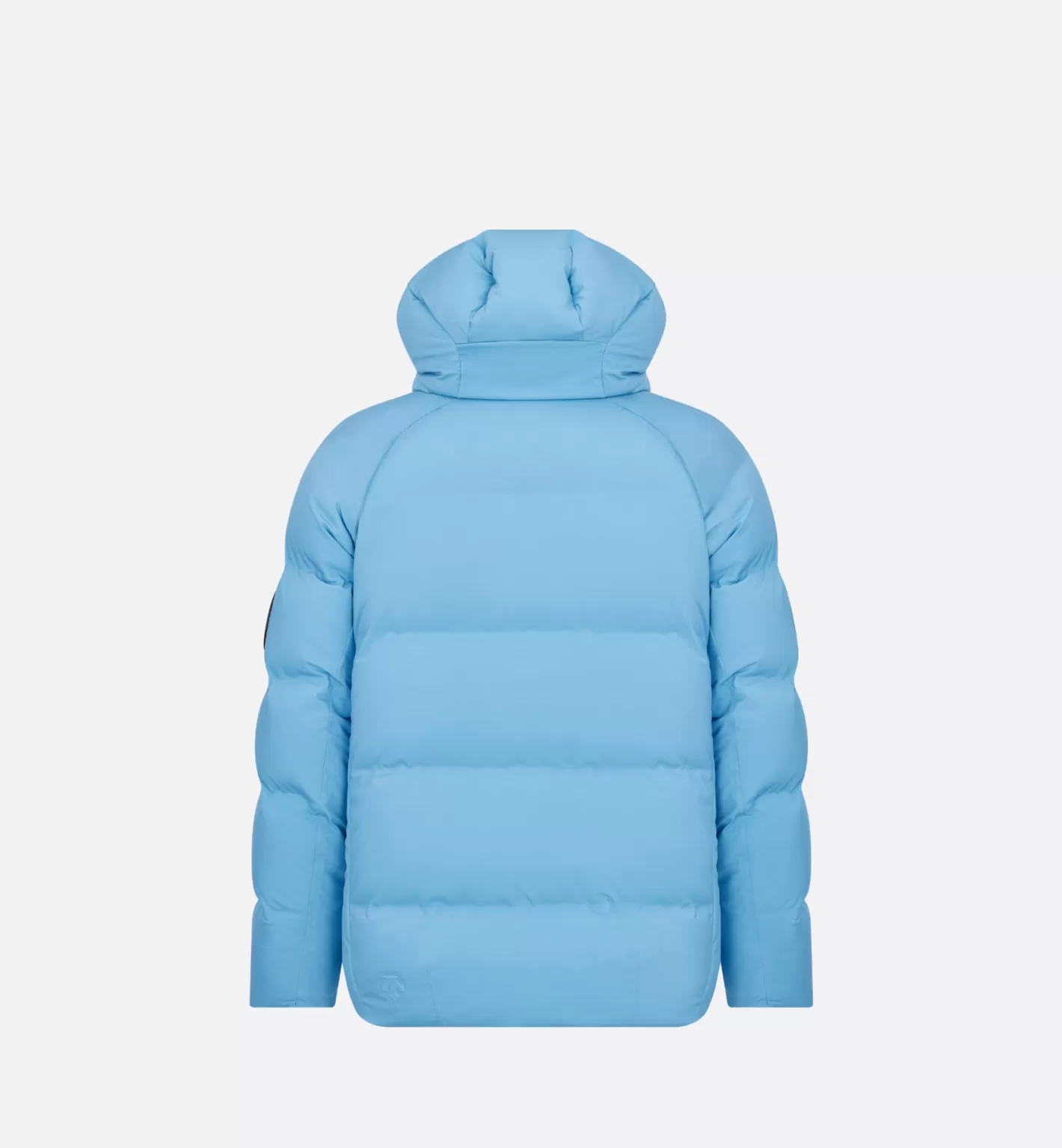 DIOR And Descente And Peter Doig Quilted Down Ski Jacket Store