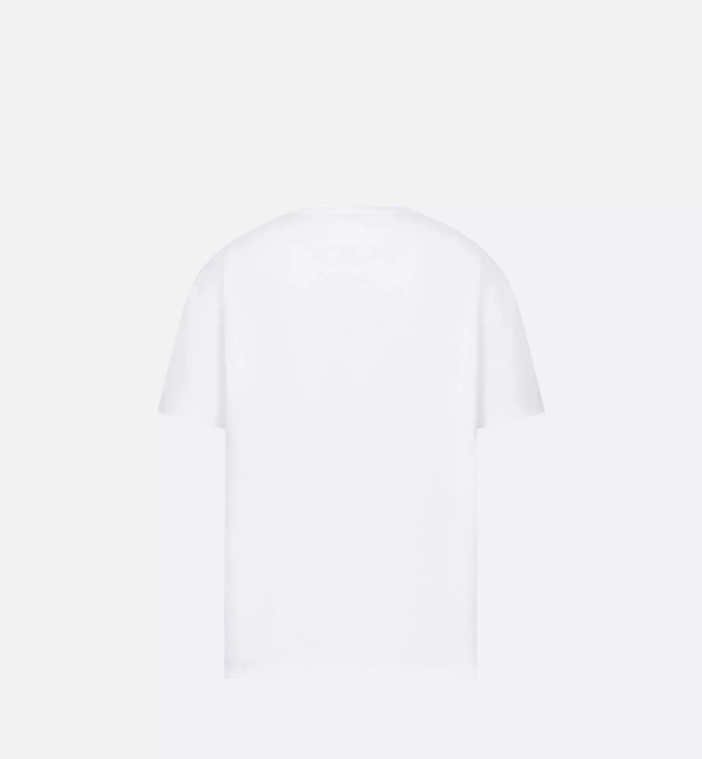 DIOR And Peter Doig Relaxed Fit T-Shirt Store