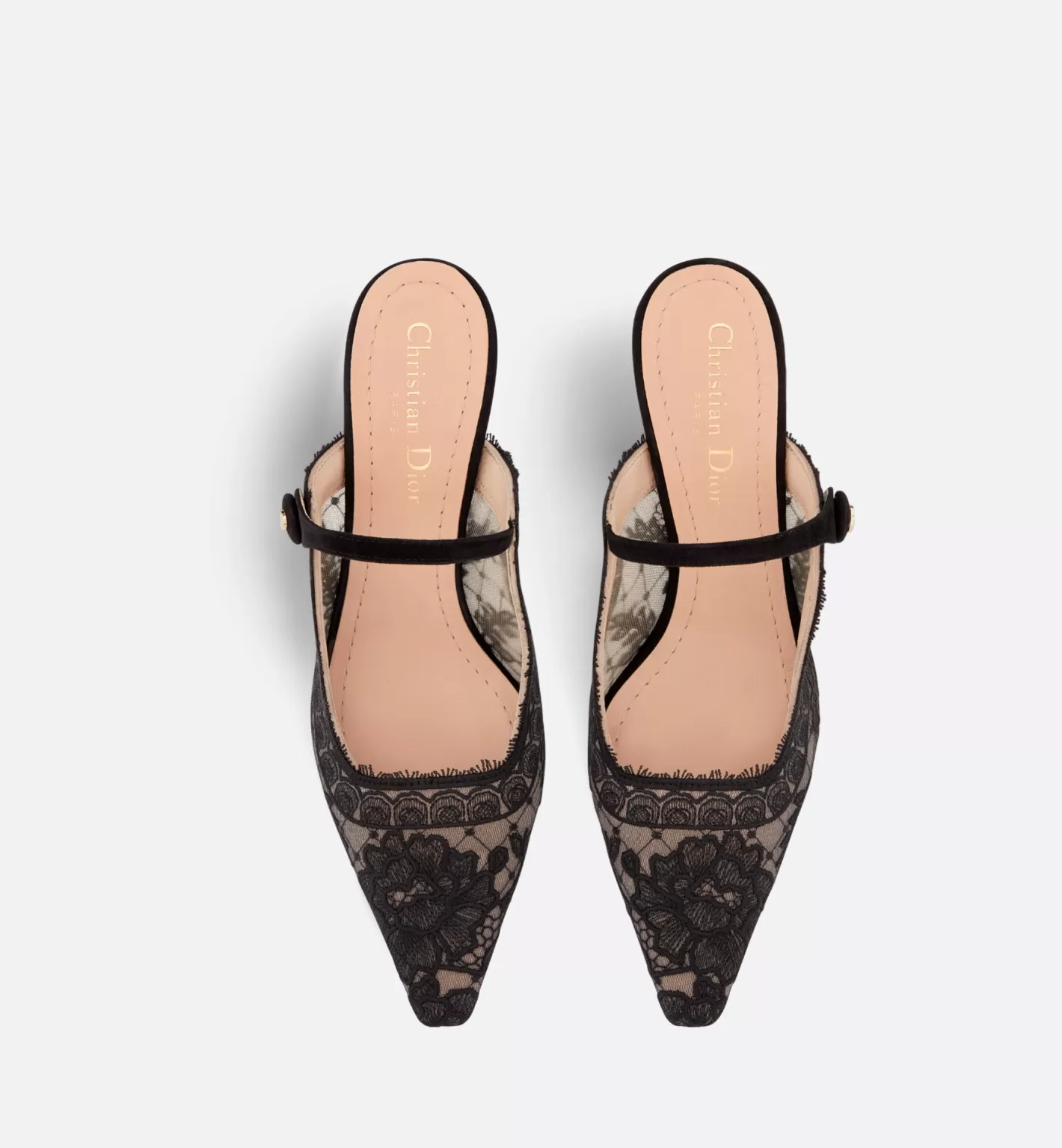 DIOR Capture Heeled Mule Discount