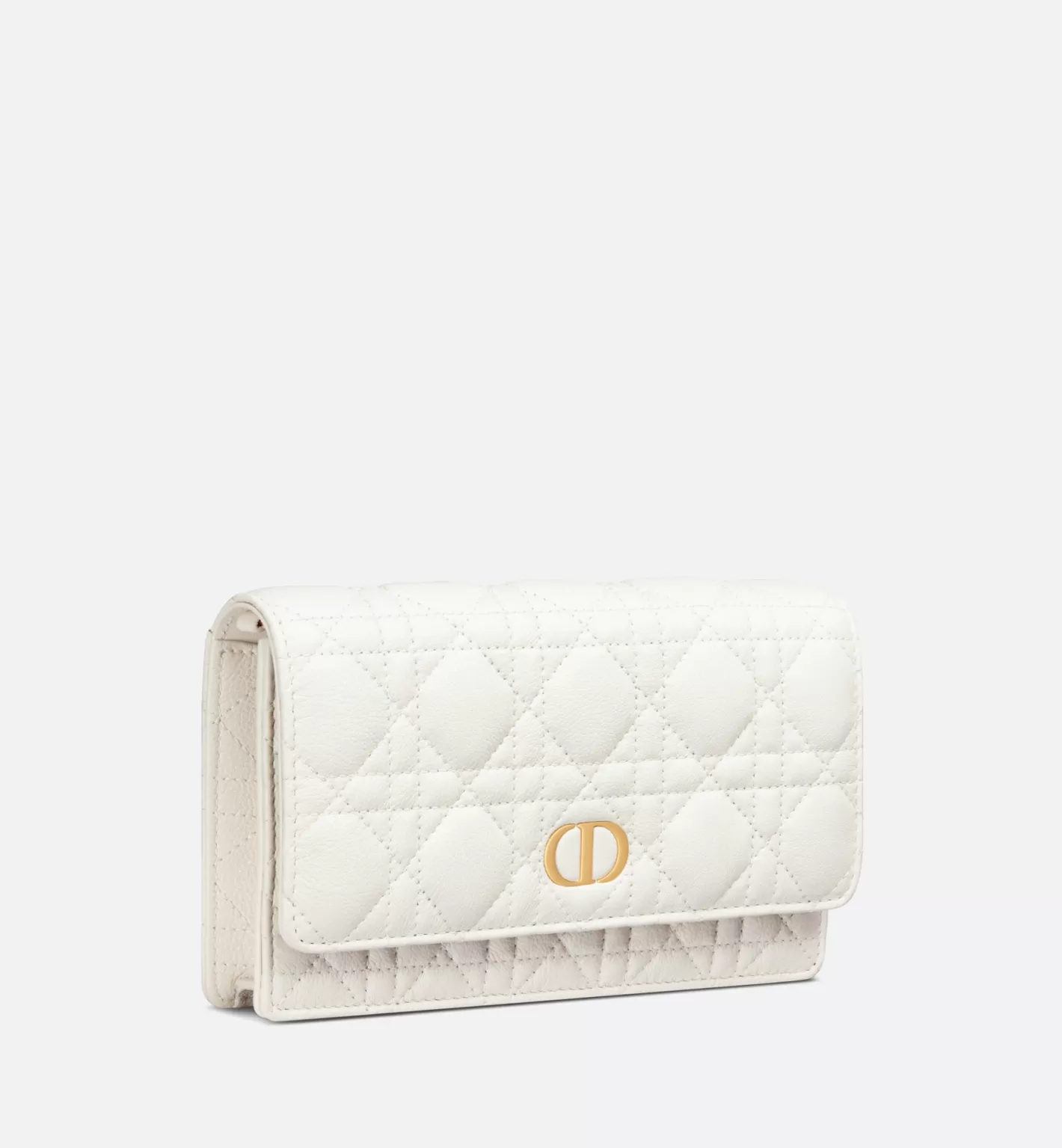 DIOR Caro Pouch Best