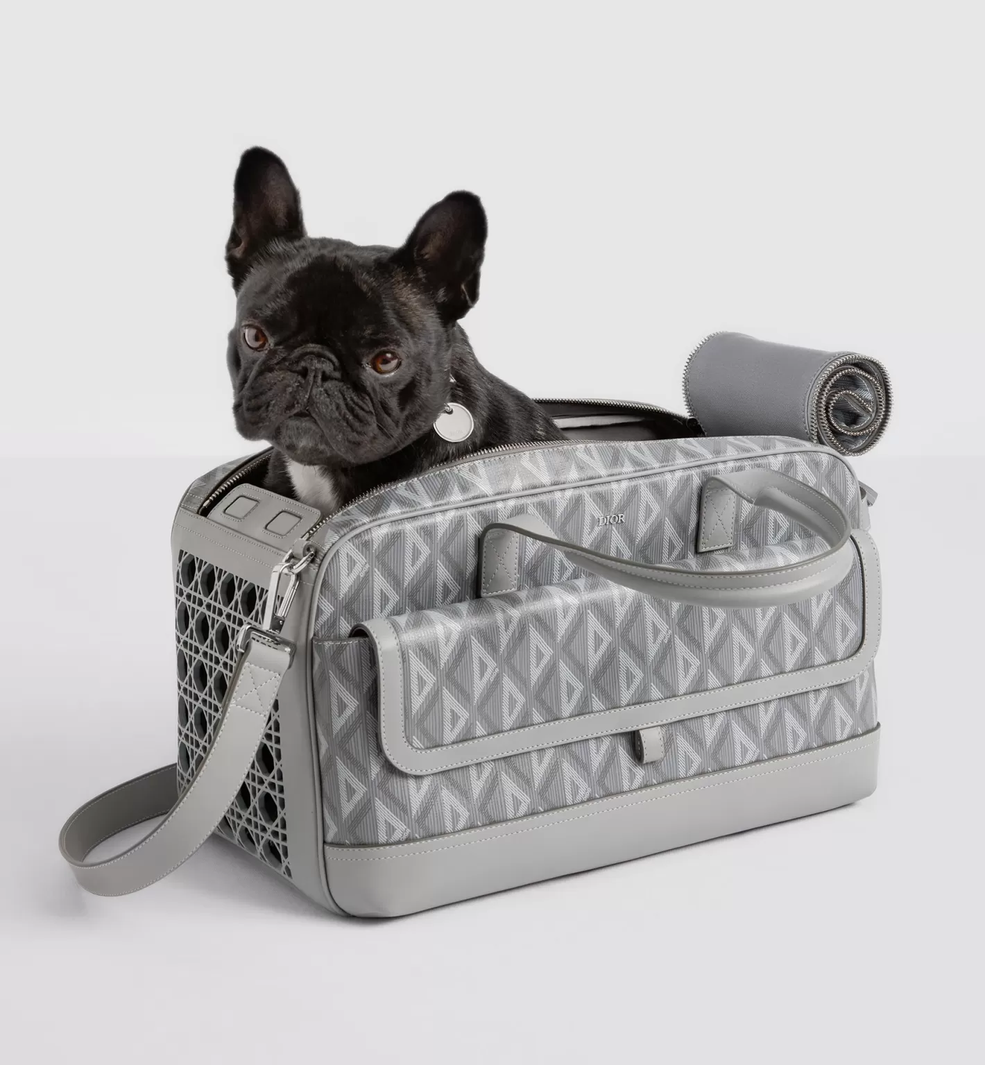 DIOR Hit The Road Pet Carrier Bag Cheap