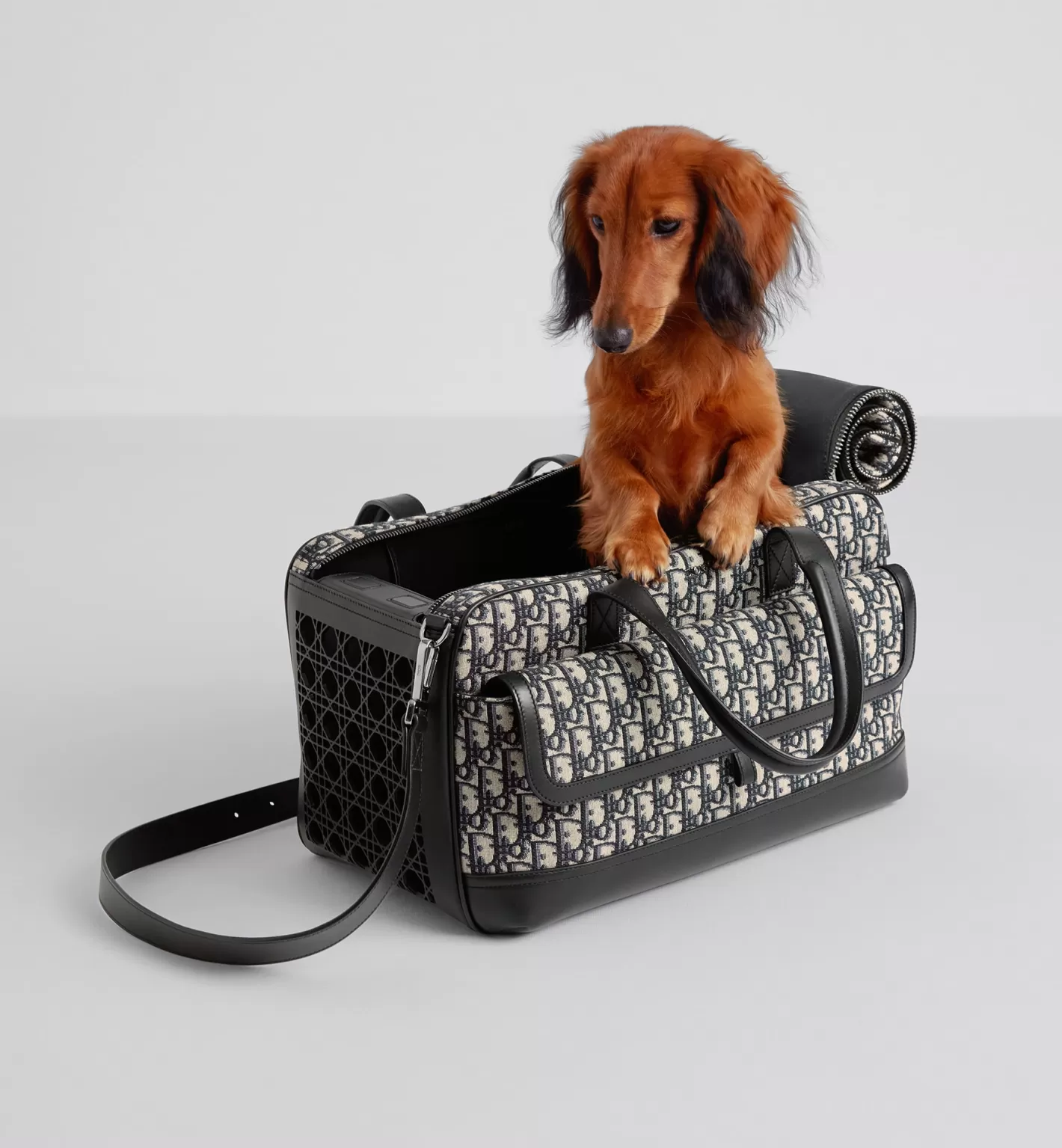 DIOR Hit The Road Pet Carrier Bag Best Sale