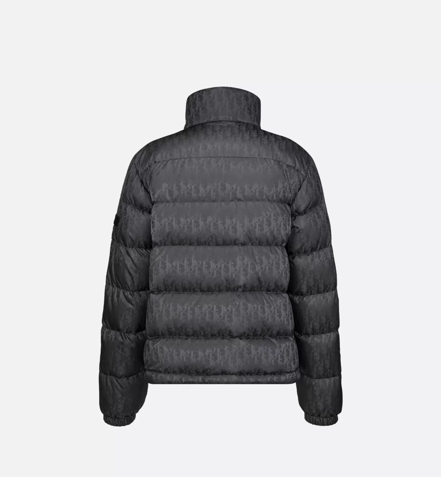 DIOR Oblique Down Jacket Shop