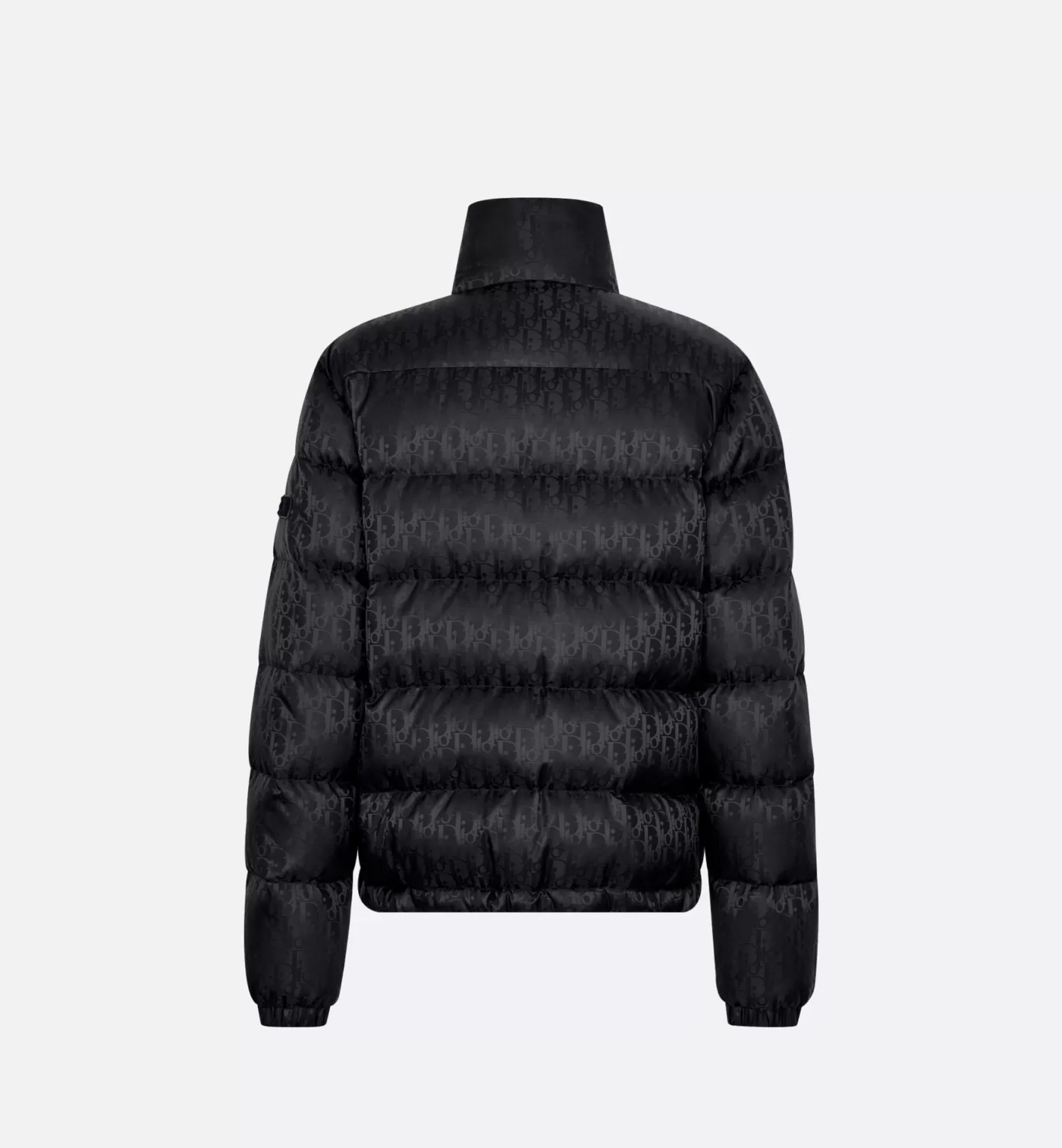 DIOR Oblique Down Jacket Hot