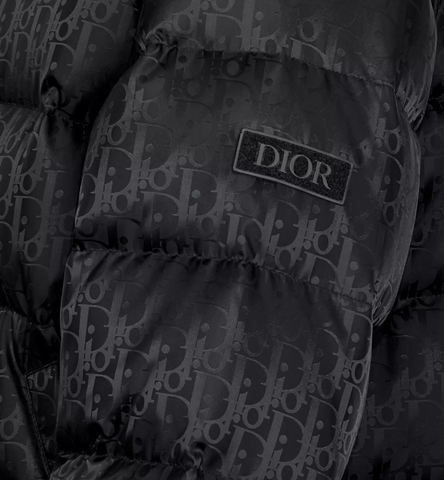 DIOR Oblique Down Jacket Hot