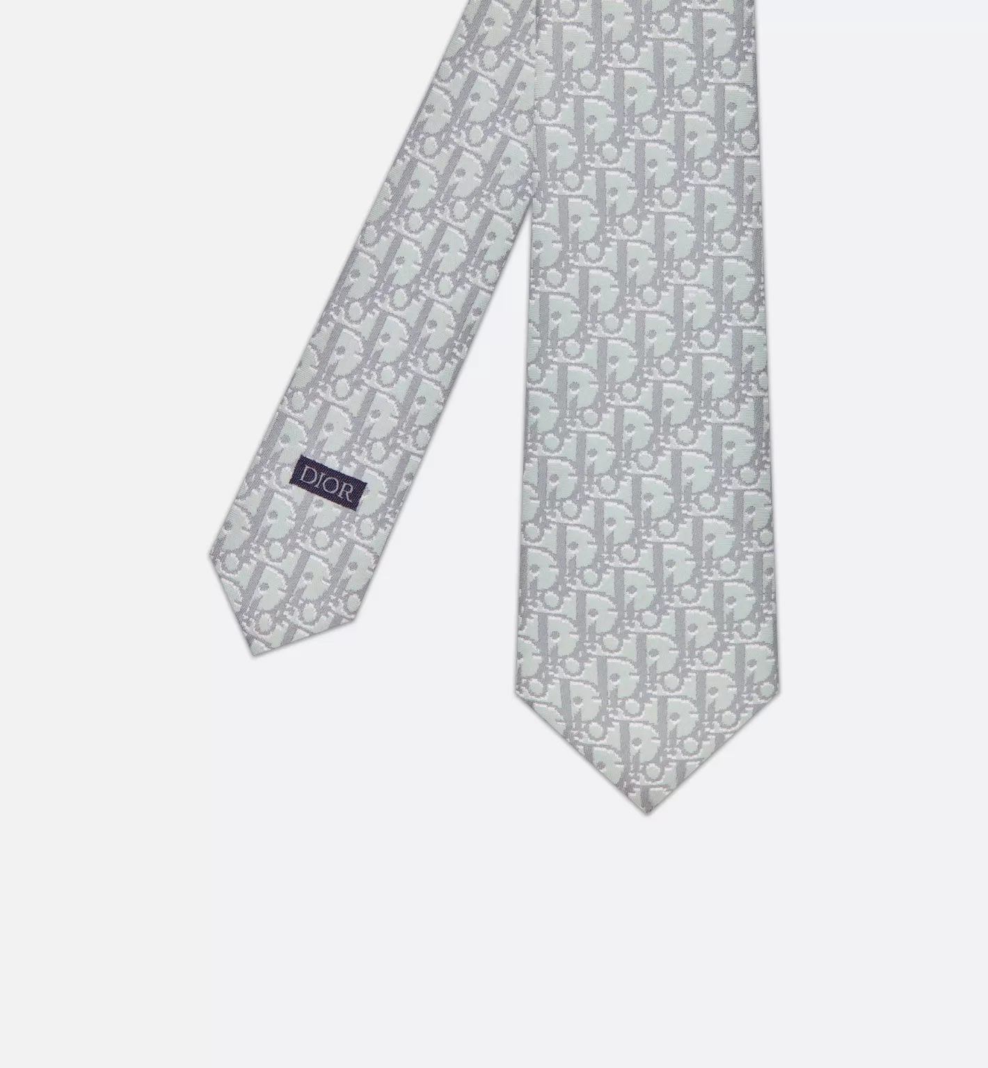 DIOR Oblique Pixel Tie Store