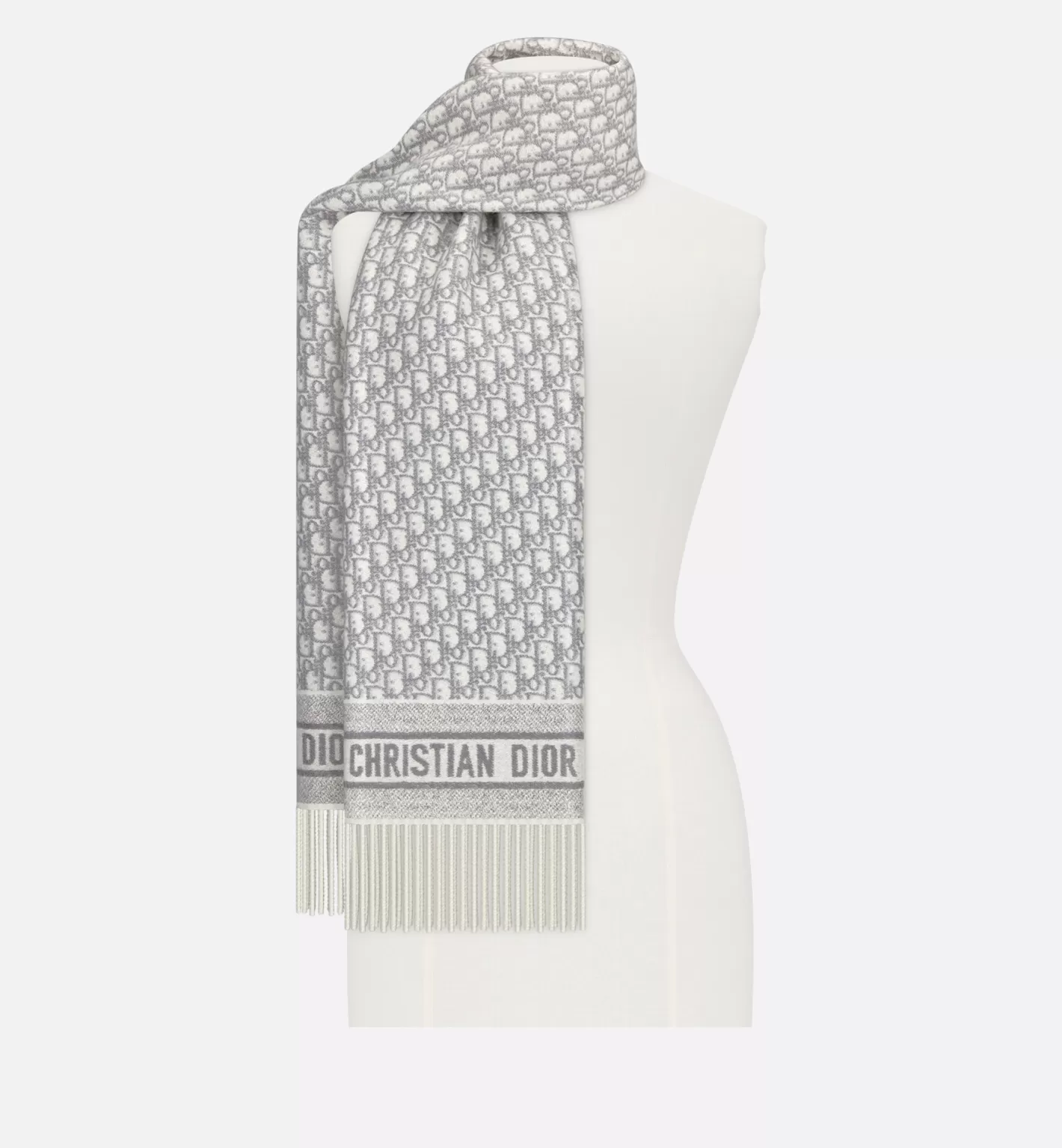 DIOR Oblique Scarf Store