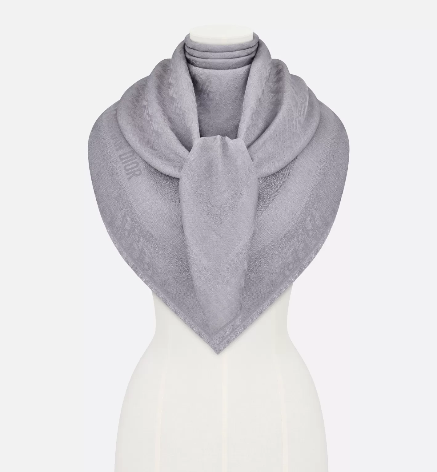 DIOR Oblique Shawl Fashion