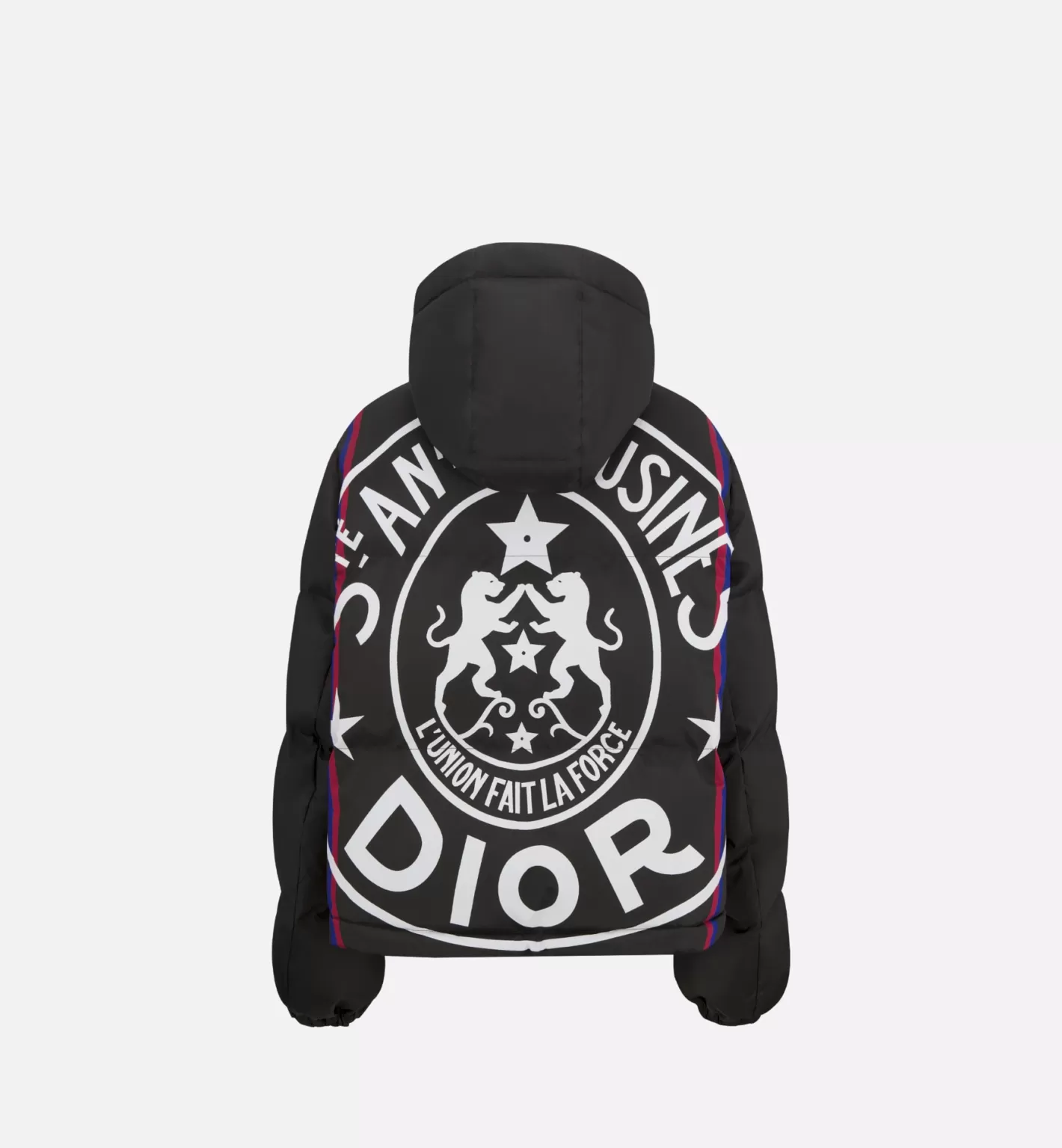 DIOR alps Hooded Puffer Jacket Fashion