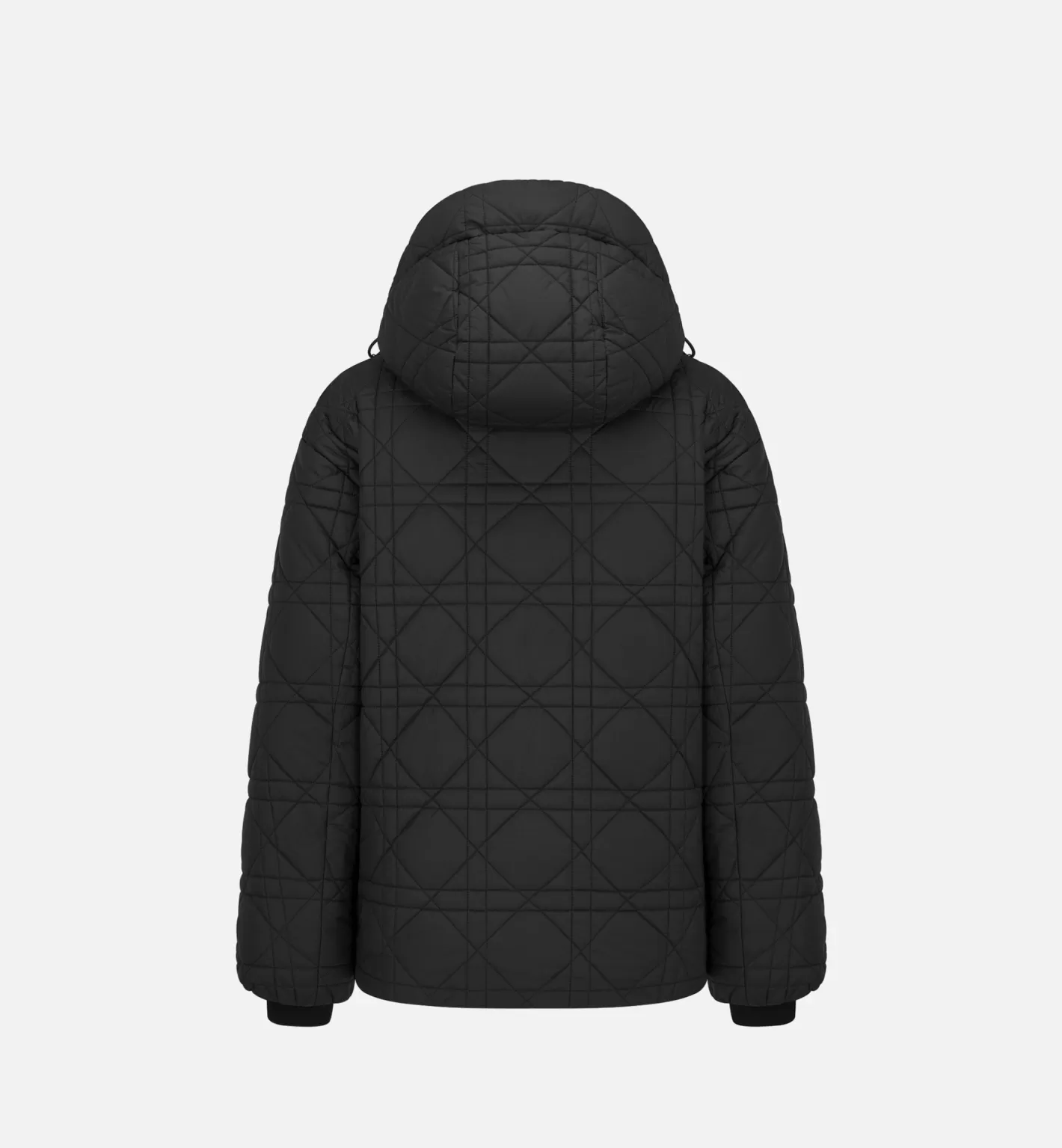 DIOR alps Macrocannage Hooded Puffer Jacket Online