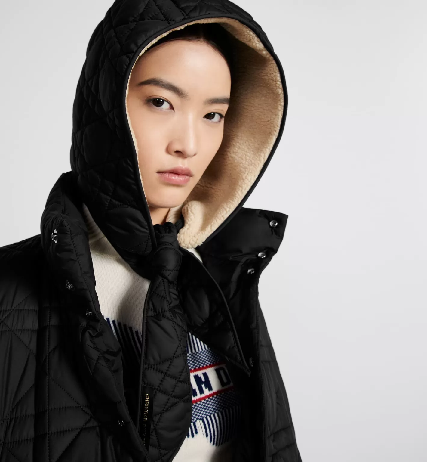 DIOR D-Motion Hood Best