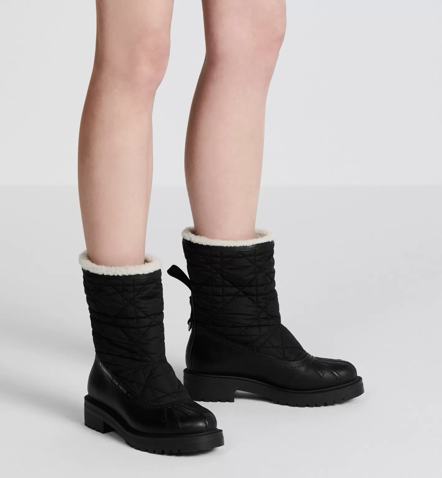 DIOR Frozen-D Ankle Boot Shop