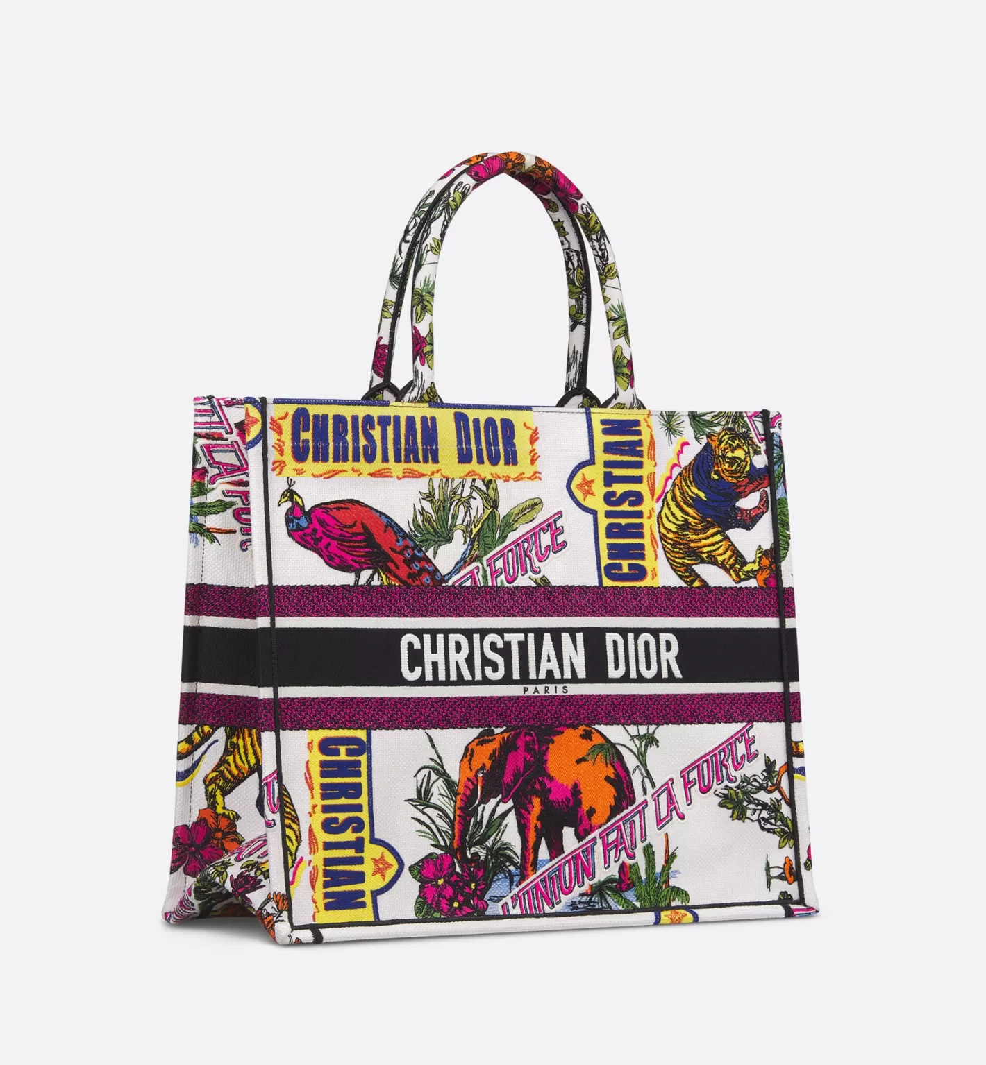 DIOR Large Book Tote Cheap