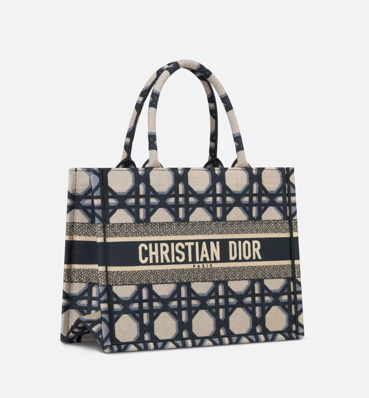 DIOR Medium Book Tote Sale