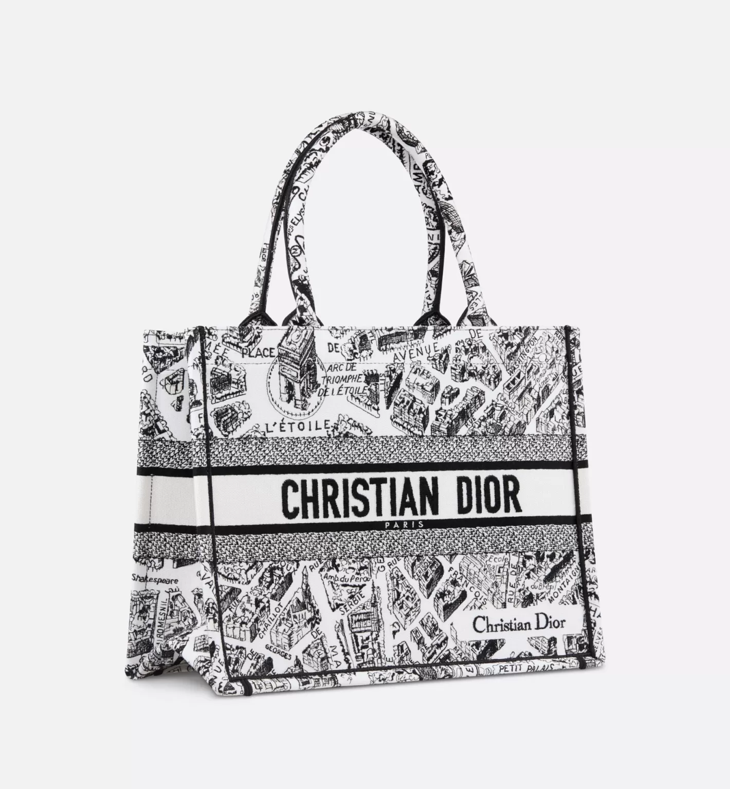 DIOR Medium Book Tote Discount