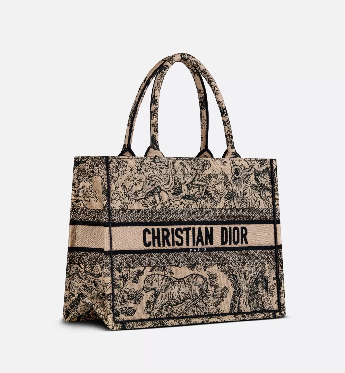 DIOR Medium Book Tote Fashion