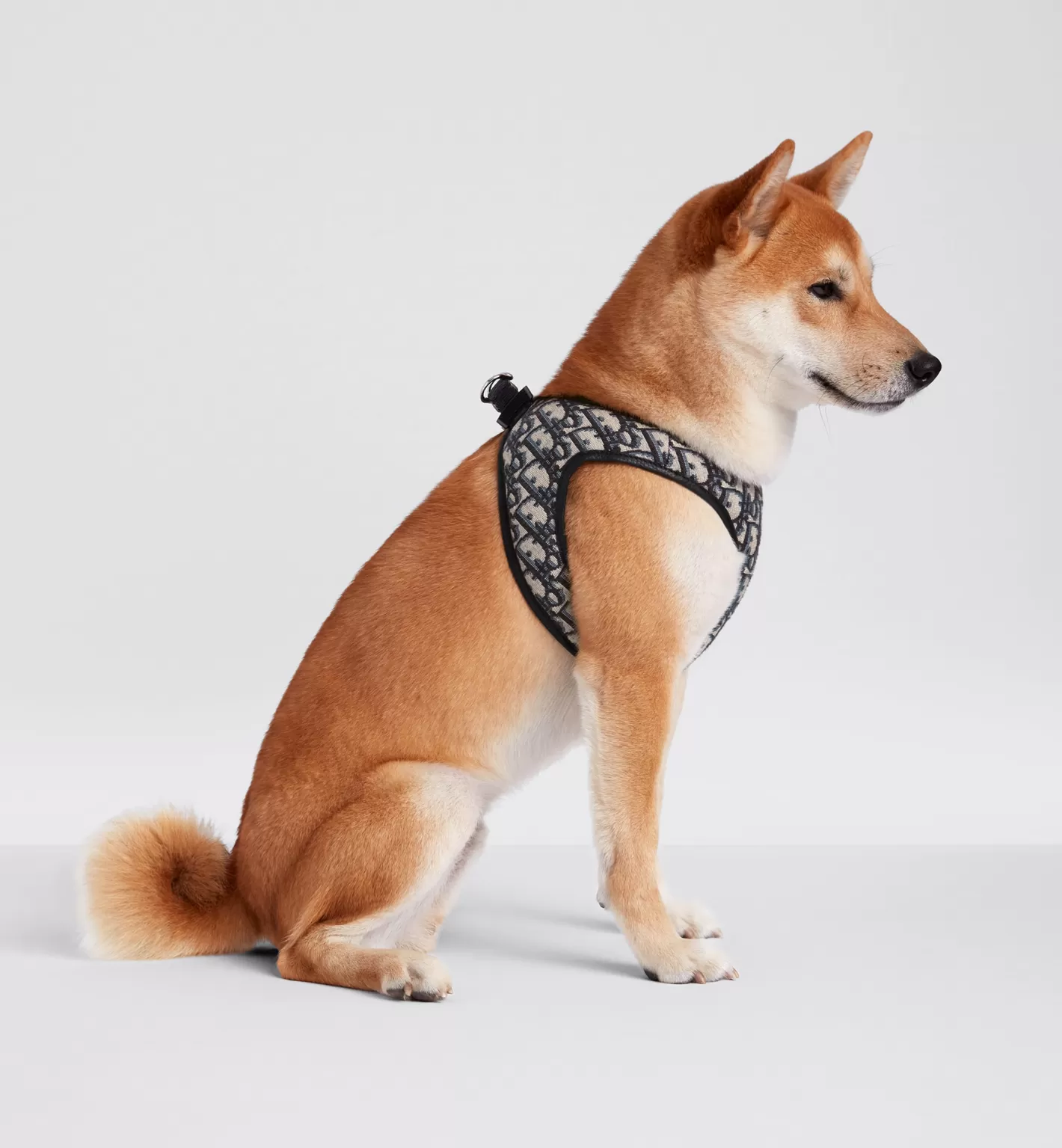 DIOR Pet Harness Clearance