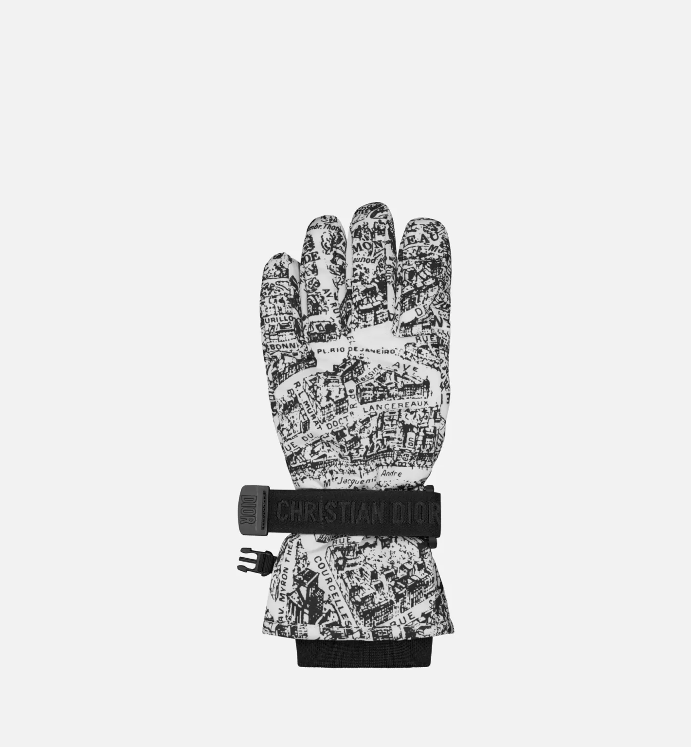 DIOR Plan De Paris Ski Gloves Sale