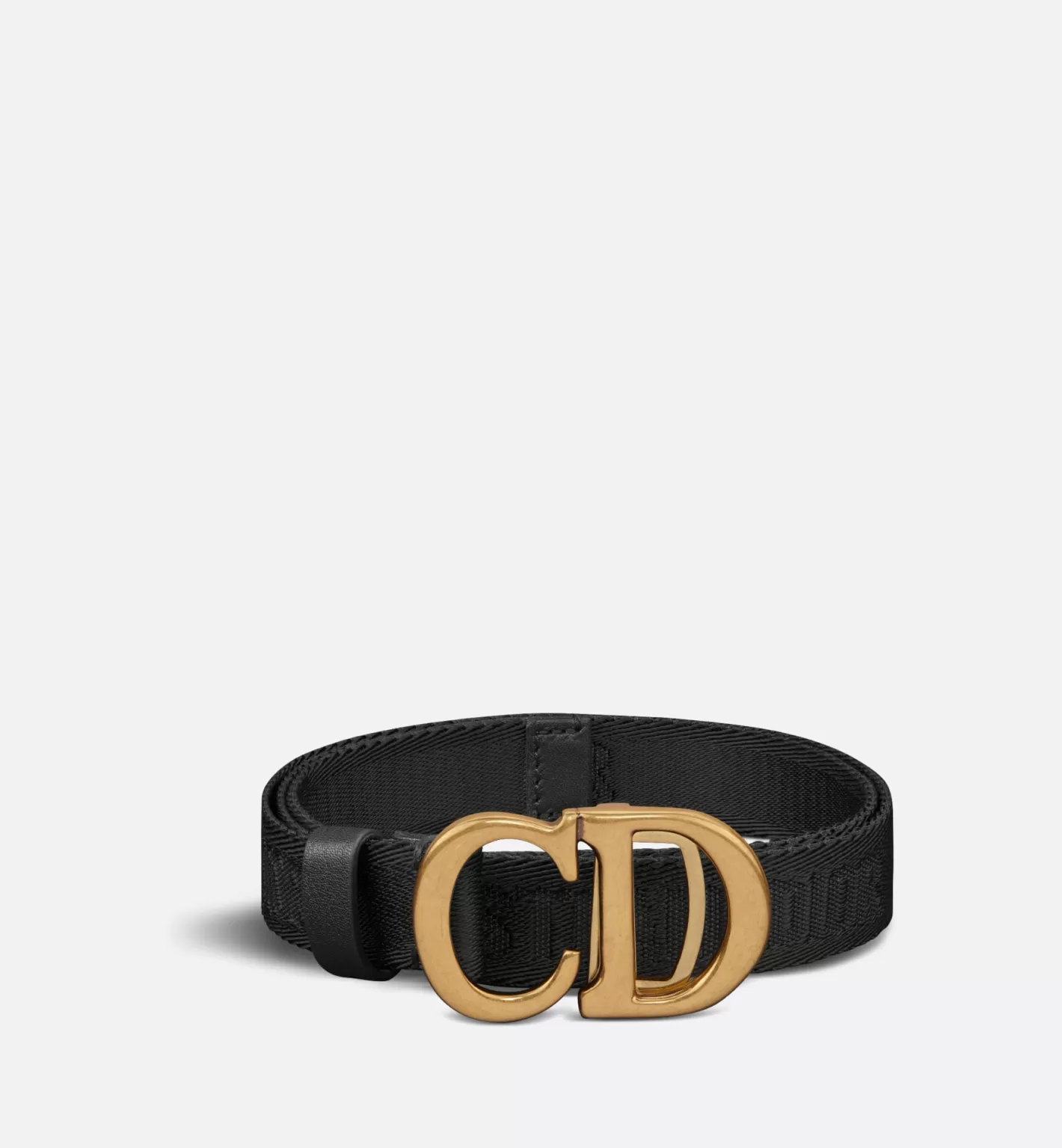 DIOR Saddle Belt Flash Sale